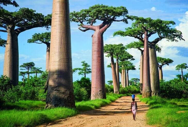Madagascar